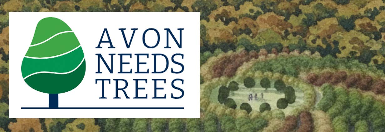 Avon Needs Trees